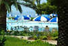 Iberostar Albatros 